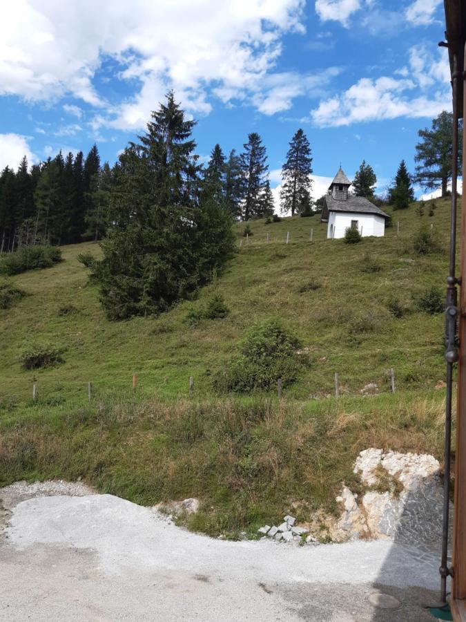 Sonnleit'N Zimmer 7 Abtenau Kültér fotó